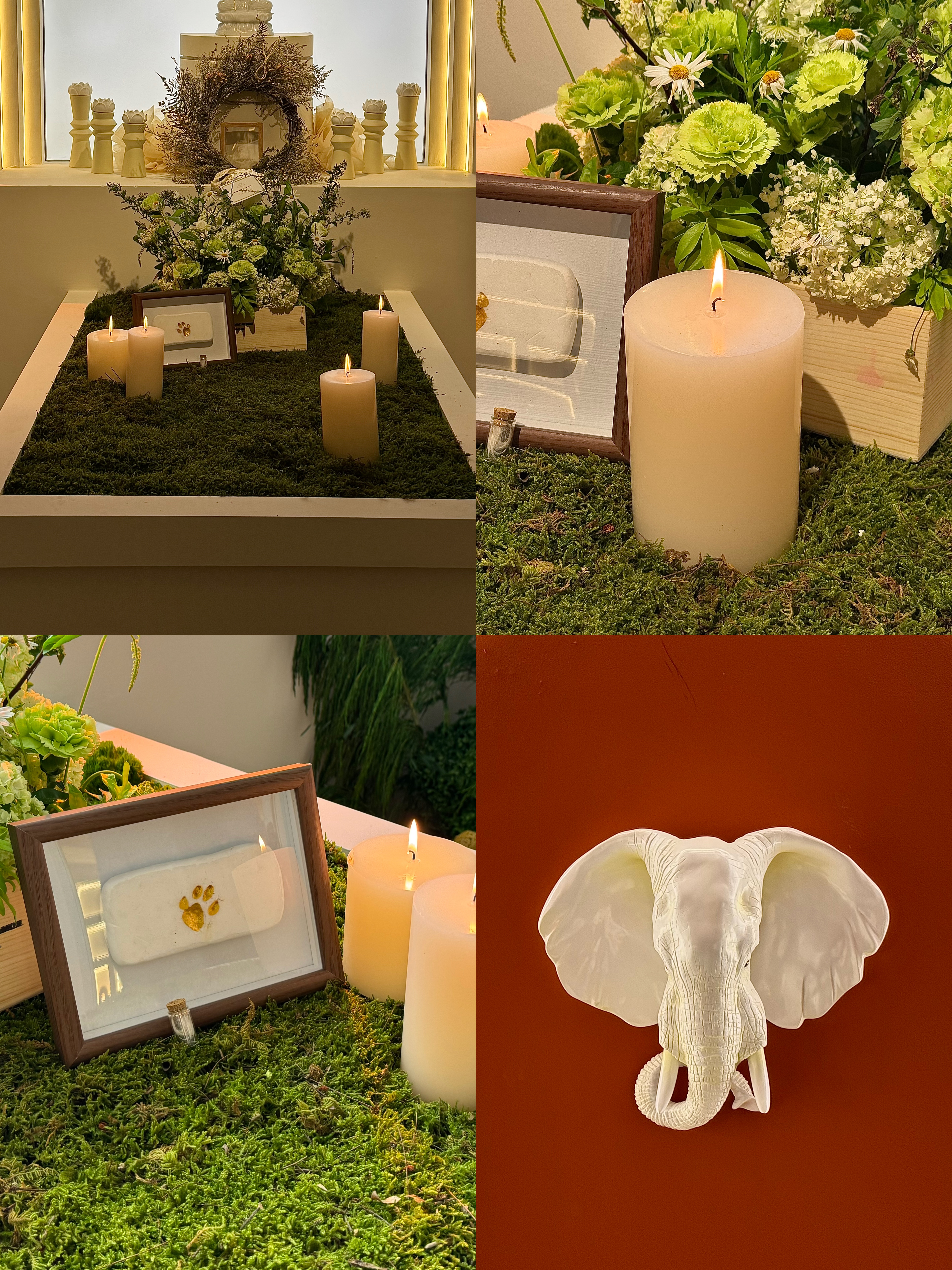 Pet memorial ceremony scenes in a collage