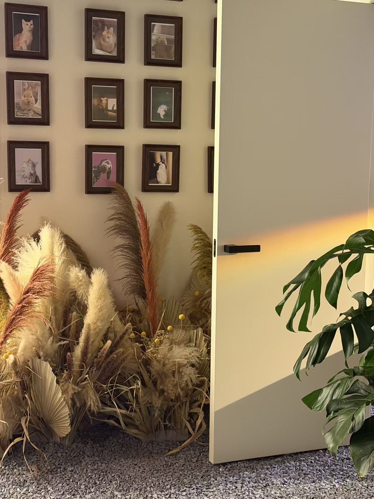Warm interior details inside the FUFORPETS memorial space