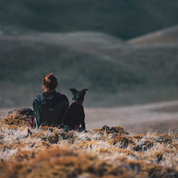 Pet resting beside a person in a quiet emotional moment